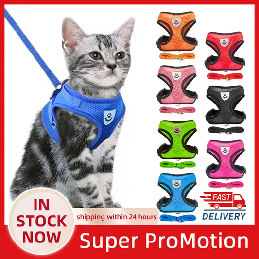 Cat Harness Vest with Walking Leash for Dog Collar