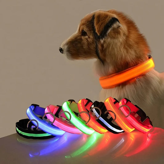 Nylon LED Night Safety Flashing Glow In The Dark Dog Leash Dogs